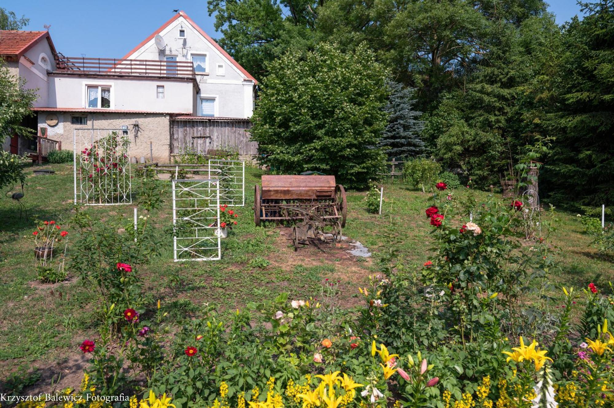 Pokoje Upalty 21 Giżycko Exterior foto